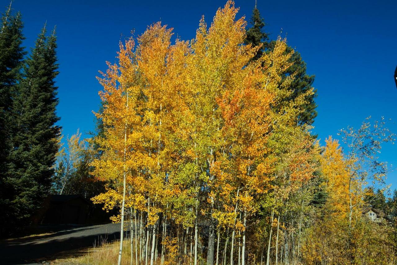 Aspen Village Golf Course Condo - Snowshoes McCall Luaran gambar